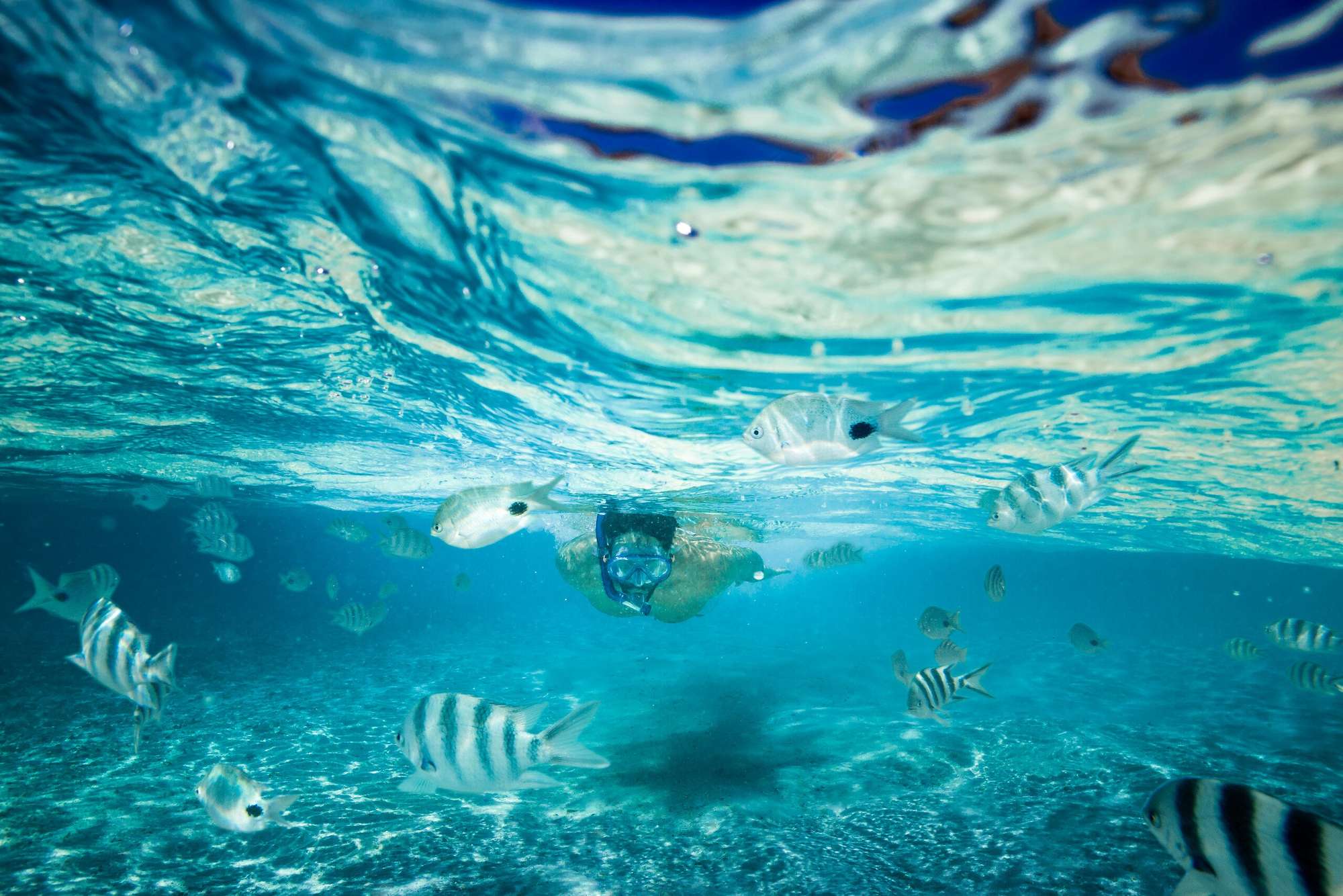 Just Honeymoons - Club Med Kani Maldives - Snorkeling