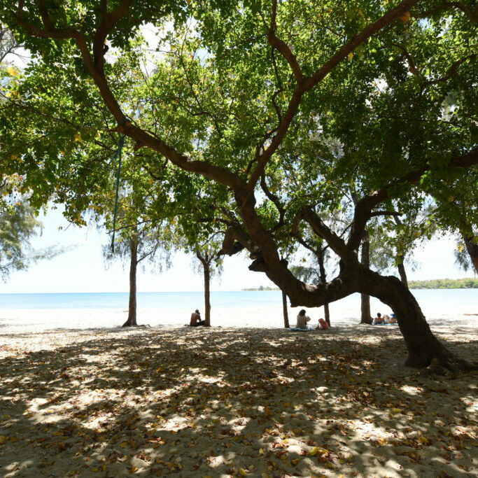 Veranda Tamarin Beach